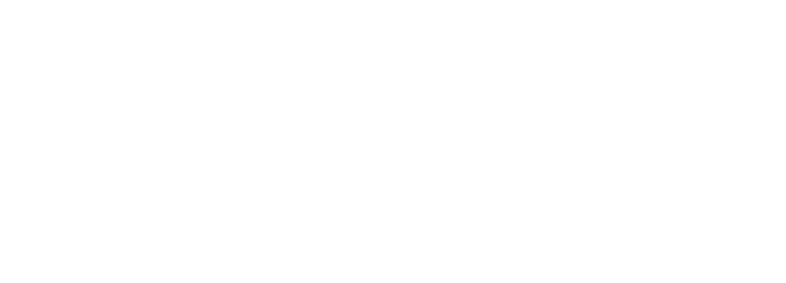 Sentry AI wordmark